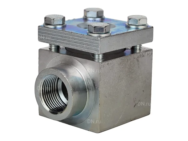 Стекло смотровое DN.ru SG1-21G-T тип В ГОСТ 21836-2021 Ду25 Ру40 одностороннее, материал - углеродистая сталь, резьбовое