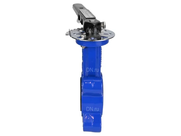 Затвор дисковый поворотный DN.ru WBV1631E-2W-Fb-H Ду50 PN16 LUG межфланцевый, корпус - чугун QT450, диск - нержавеющая сталь 304, уплотнение - EPDM, с рукояткой