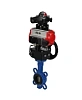 Затвор дисковый поворотный DN.ru WBV1413E-2W-Fb-H Ду50 Ру16, корпус - чугун GGG50, диск - чугун GGG40, EPDM, с пневмоприводом PA-DA-065 двойного действия, пневмораспределителем 4М310-08 24В NAMUR, БКВ APL-210N, ручным дублером MON1-250-T26-ISO Нижний Новгород