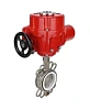 Затвор дисковый поворотный DN.ru WBV3232P-2W-Fb-H Ду50 Ру16, корпус - нержавеющая сталь 316L, диск - нержавеющая сталь 316L, уплотнение - PTFE, с электроприводом DN.ru QT-EX-010EM-O2-220VAC-У1 220В Нижний Новгород